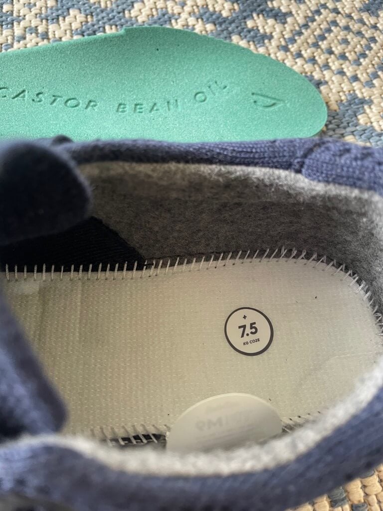 Allbirds sustainability