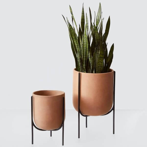 Citizenry Cantaro clay plant pot