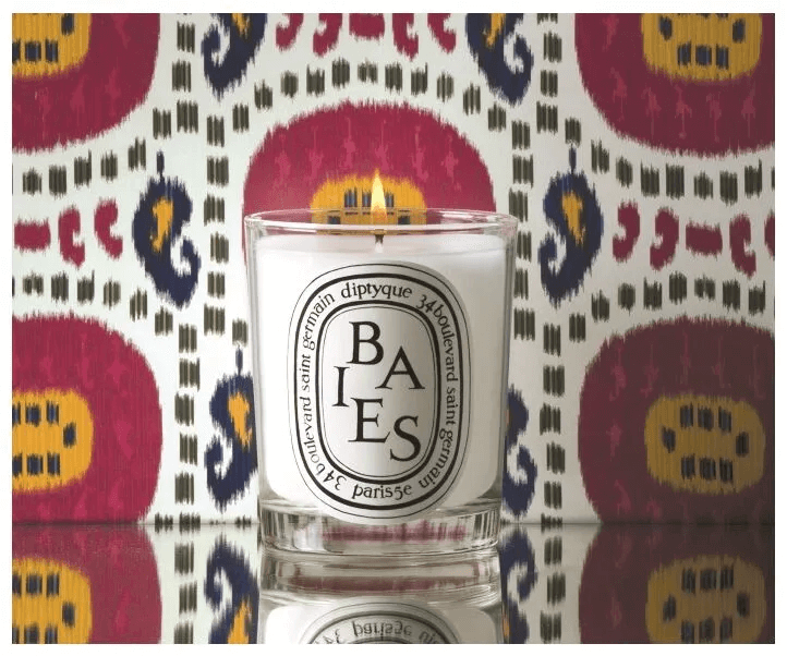 Diptique non toxic candles made from vegetavle wax