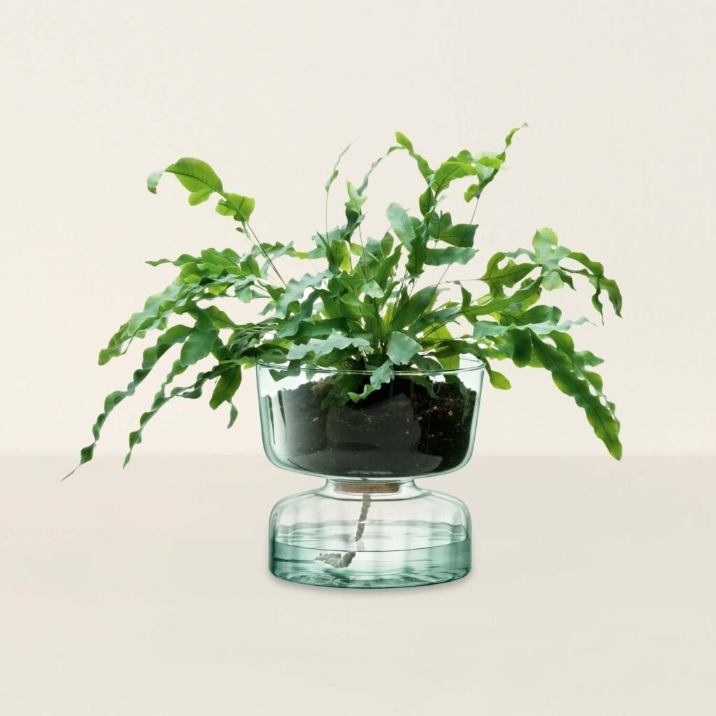 LSA International self watering plant pot made with recycled glass