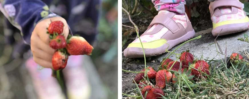 Zuna barefoot shoes for kids made from natural materials