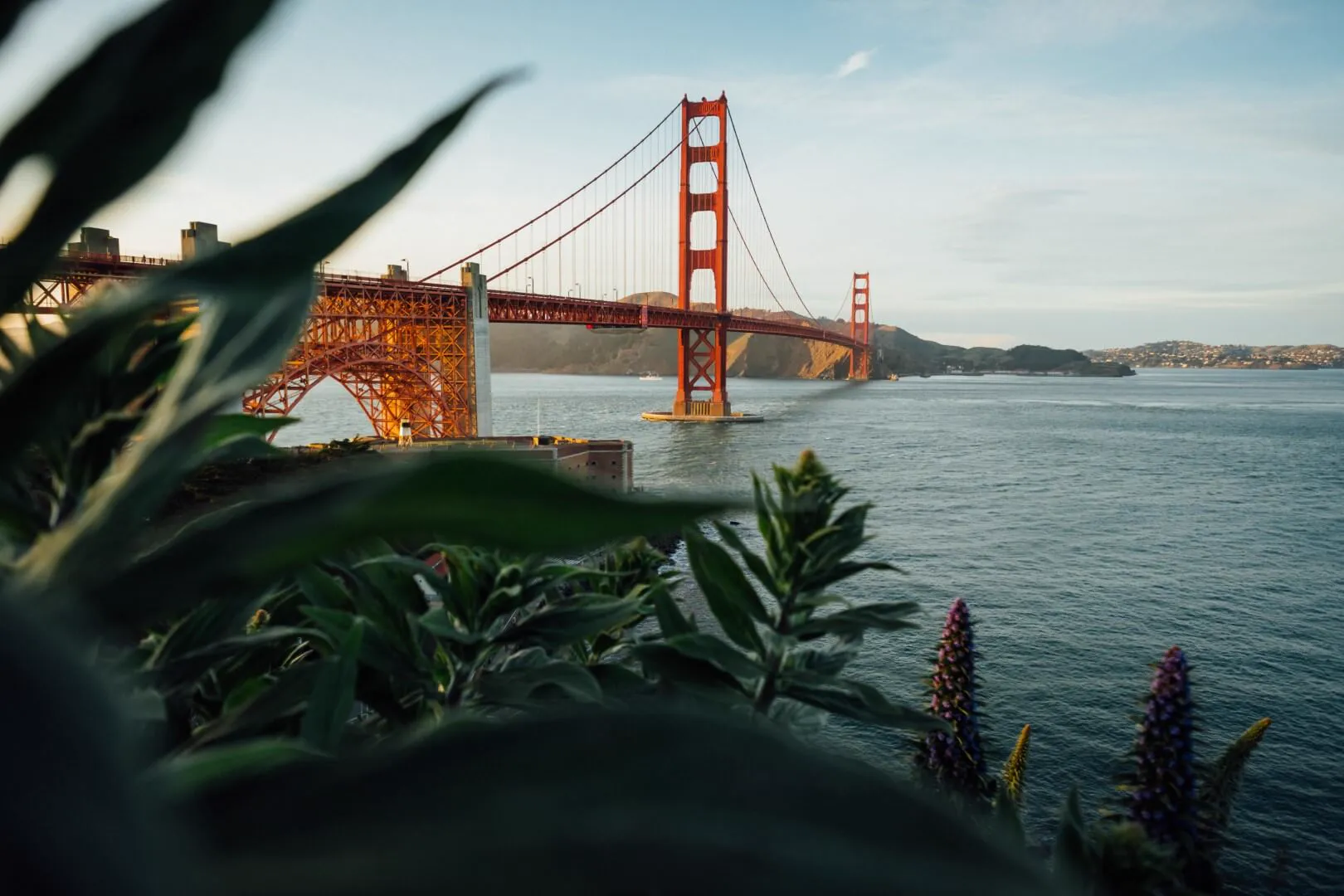 10 Sustainable San Francisco Clothing Brands