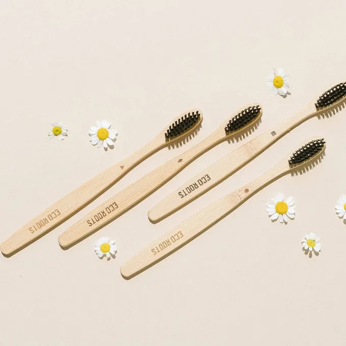 8 Best Eco Friendly Toothbrush Brands for a Healthy Smile